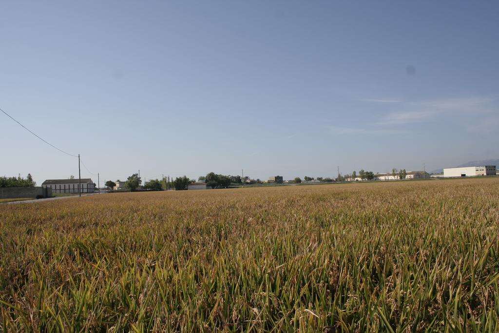 La Casilla Deltebre Exterior foto